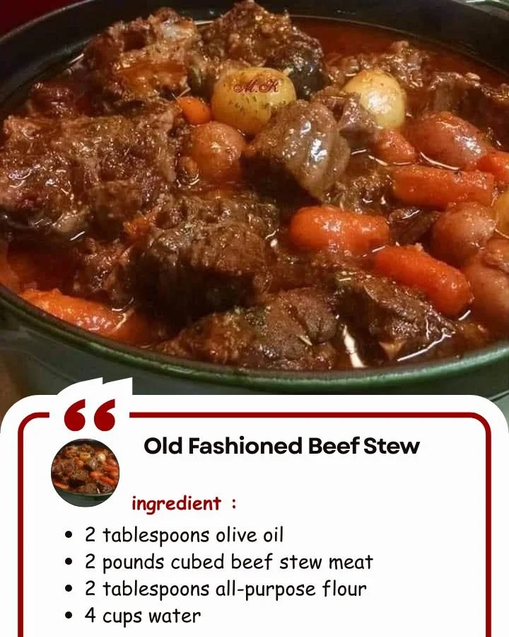 Delicious bowl of old fashioned beef stew with fresh vegetables and herbs