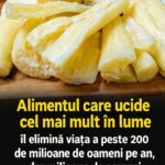 Tot ce trebuie să știi despre manioc: beneficii, riscuri și modalități de preparare cf-featured-124