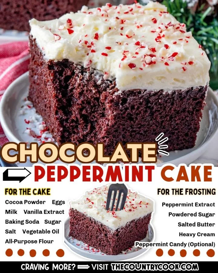 Delicious Chocolate Peppermint Cake topped with festive decorations
