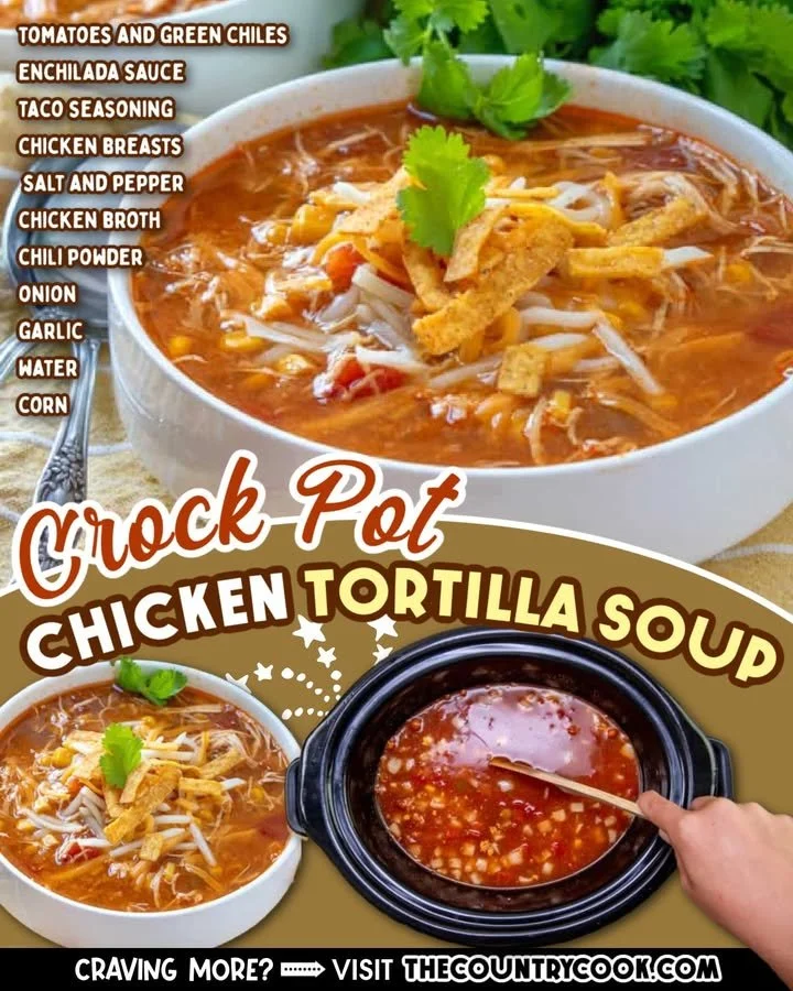 Crock Pot Chicken Tortilla Soup Bowl of Crock Pot Chicken Tortilla Soup with toppings