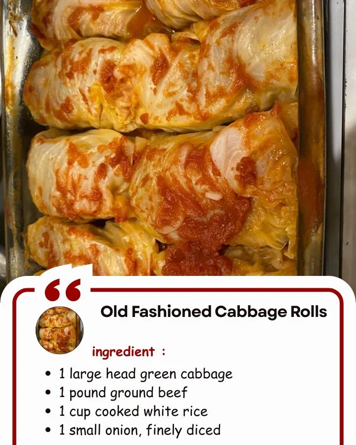 Old Fashioned Cabbage Rolls Plate of old fashioned cabbage rolls with sauce and herbs