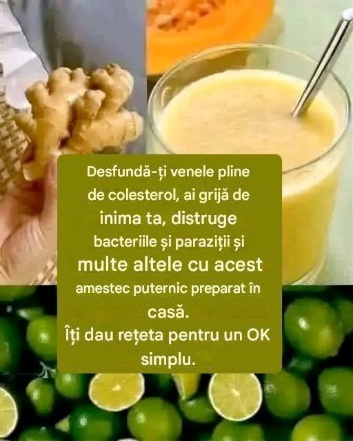 Logo OK simplu pentru soluții rapide și eficiente în viața de zi cu zi.