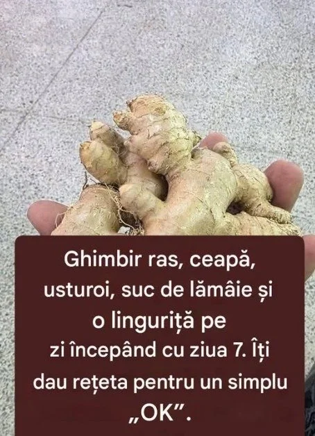 Logo OK simplu, un instrument pentru organizarea eficientă a sarcinilor.