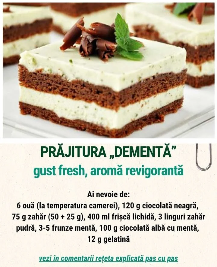 Prajitura Dementă – un desert delicios și inconfundabil