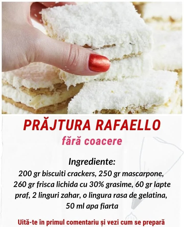 Raffaello Cake No Bake