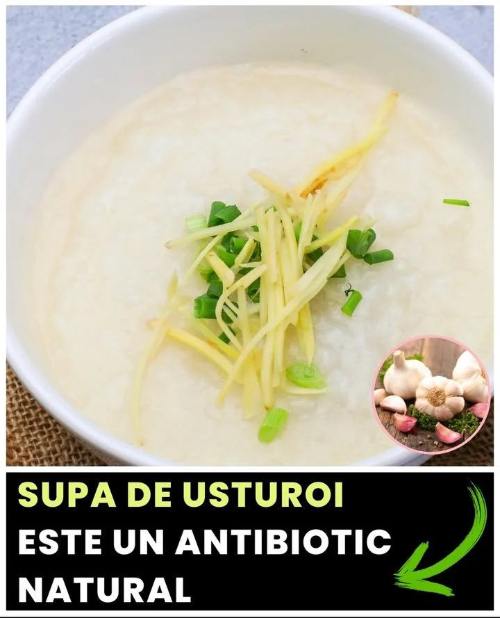 SUPA de USTUROI este un ANTIBIOTIC NATURAL. Mai mult de atât, ajută FICATUL și SCADE Tensiunea Arterială 🎵🎶