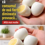 Beneficiile ouălor pentru sănătate: îmbunătățirea vederii, protecția inimii și susținerea creierului cf-featured-10