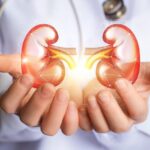 Plante benefice pentru sănătatea rinichilor: Ghid complet pentru utilizare și precauții cf-featured-103