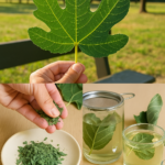 Frunza de smochin: Remediul natural pentru sănătatea ta cf-featured-119