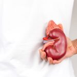 Plantele care susțin sănătatea rinichilor: Beneficii și rețete utile cf-featured-140