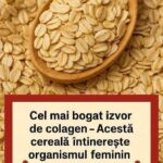 Terci de Ovăz: Elixirul Natural pentru Stimularea Colagenului și Întinerirea Pielii cf-featured-224