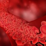 Flow,Of,Red,Blood,Cells,Into,The,Blood,Vessel,,3d