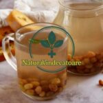 Beneficiile consumului de stafide înmuiate în apă pentru sănătate cf-featured-228