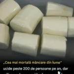 Cele mai periculoase alimente din lume: ce trebuie să știi despre ele cf-featured-26