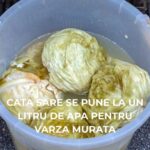 Cum să obții varză murată perfectă: ghidul complet pentru o rețetă tradițională cf-featured-339