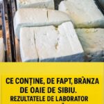 Ce trebuie să știi despre brânza de oaie din Sibiu: rezultate alarmante și riscuri pentru sănătate cf-featured-422