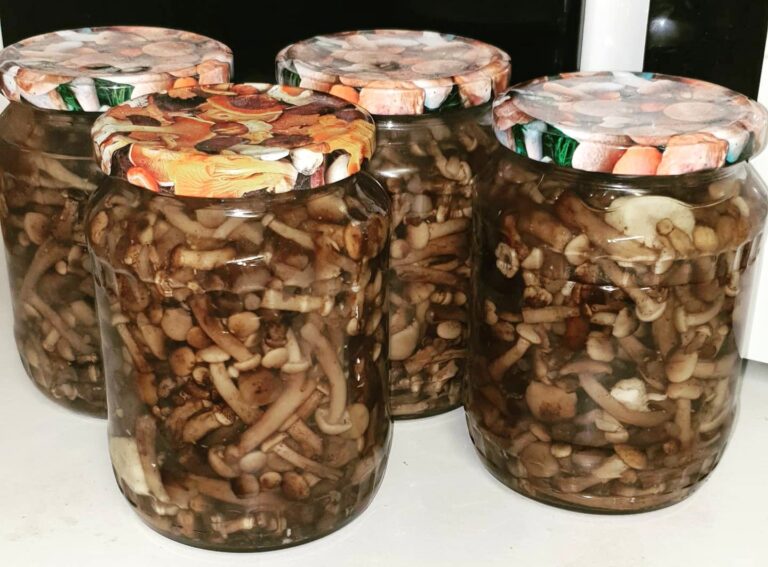 Ciuperci murate delicioase: rețeta perfectă pentru orice ocazie