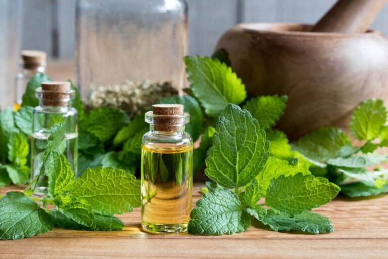 Beneficiile roiniței: un remediu natural pentru sănătate
