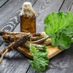 Medicinal,Plant,Burdock,(arctium,Lappa).,The,Roots,And,Leaves,Of
